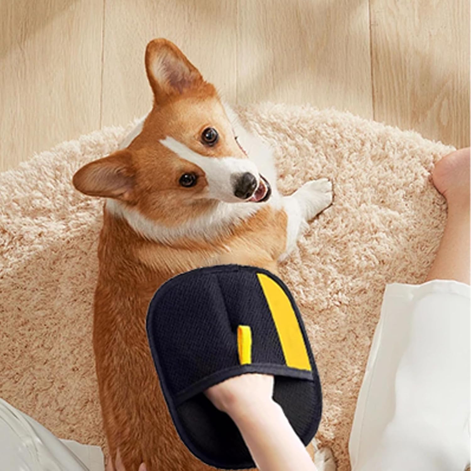 Pet Hair Removal Gloves (Pack of 2)