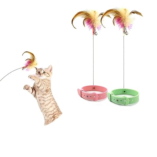 Cat Collar Toy