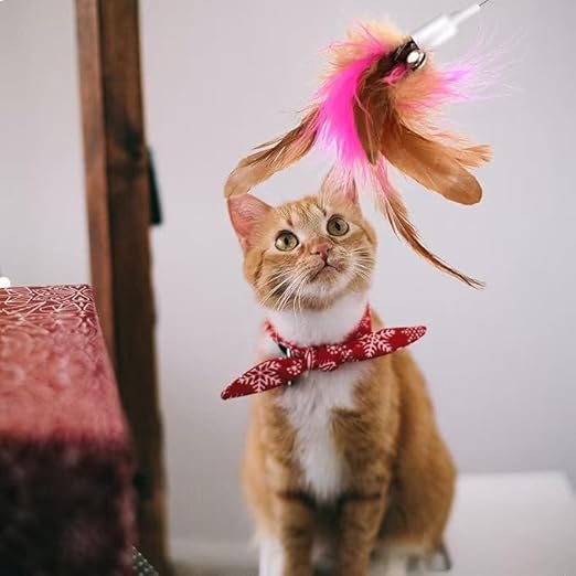 Cat Collar Toy