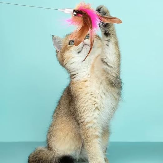 Cat Collar Toy