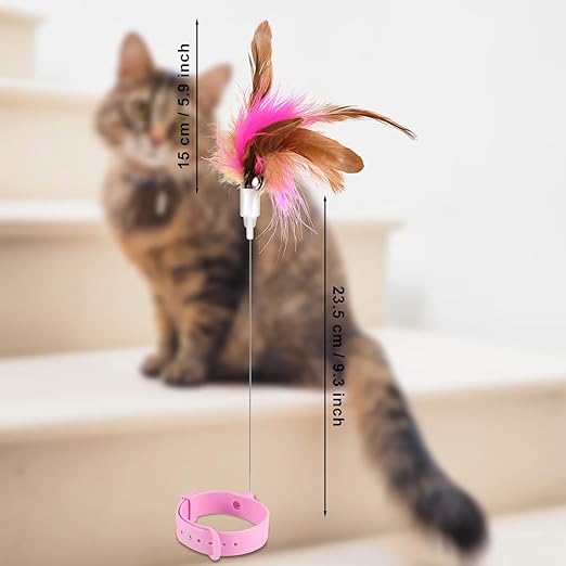 Cat Collar Toy