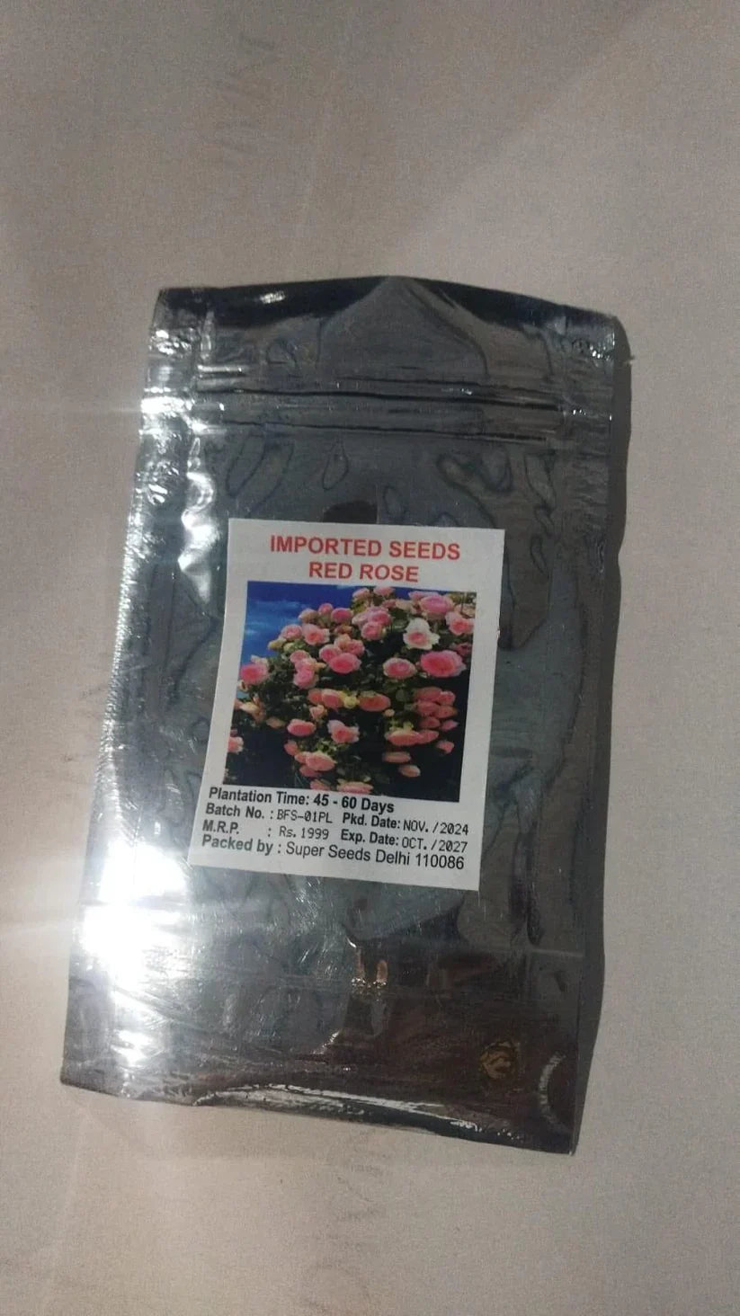 Japanese Climbing Rose Flower Seeds🌹🌸