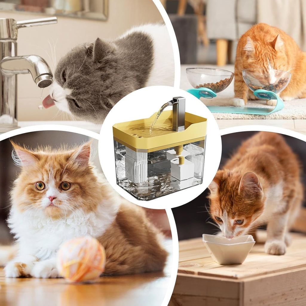 USB-Powered Automatic Water Dispenser Pet Fountain