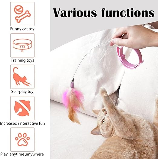 Cat Collar Toy