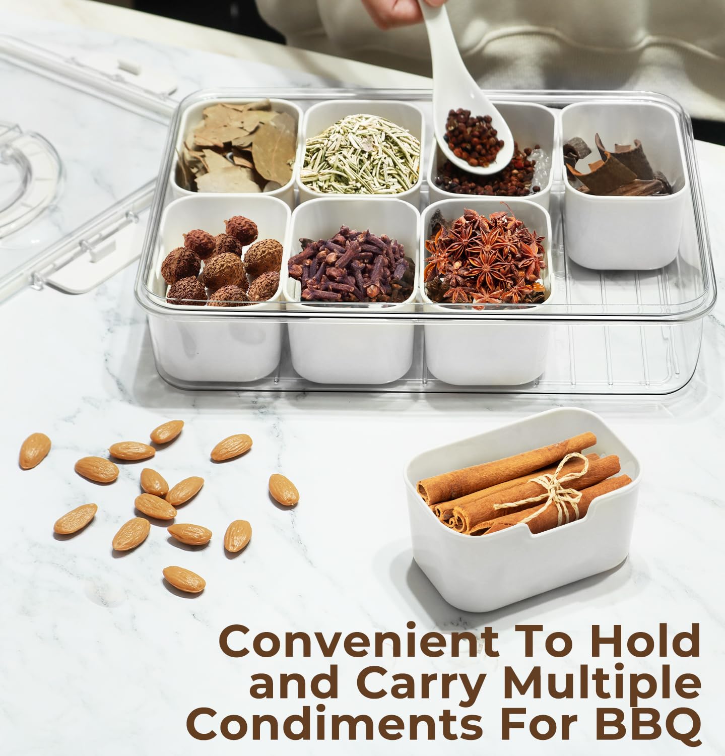 Multi-Section Container with Lid